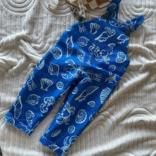 Load image into Gallery viewer, Sebastian Overalls